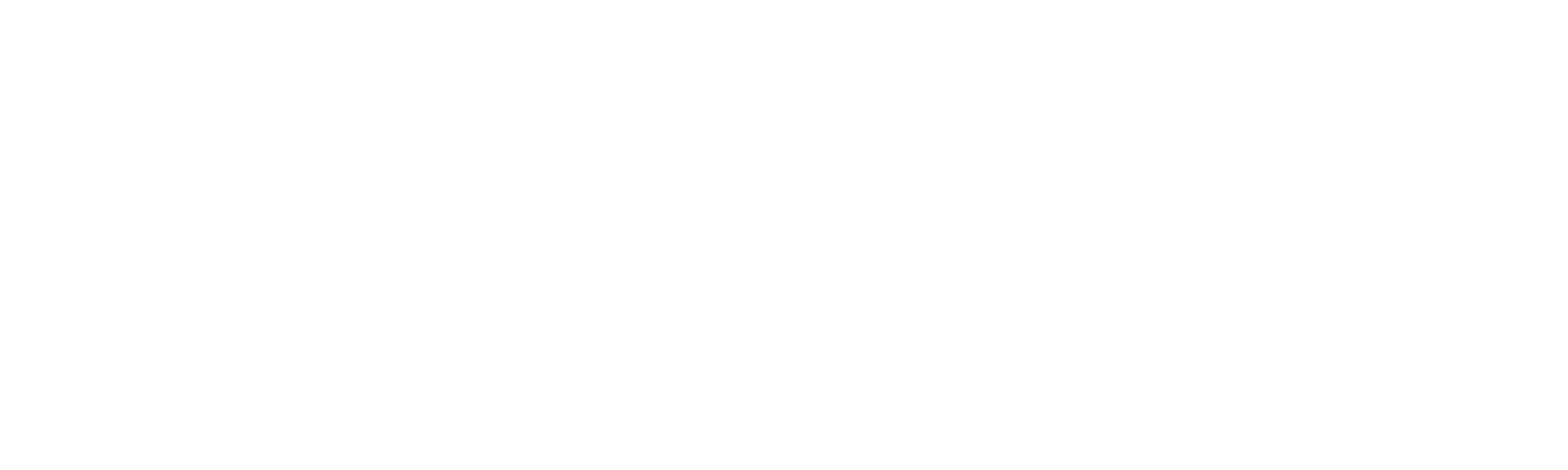 Sammaz IT Solution